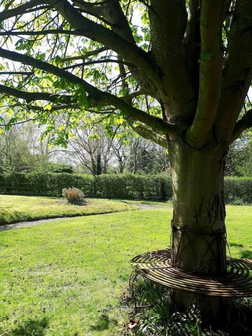 Host & Stay - Clara Cottage Bretforton Екстериор снимка