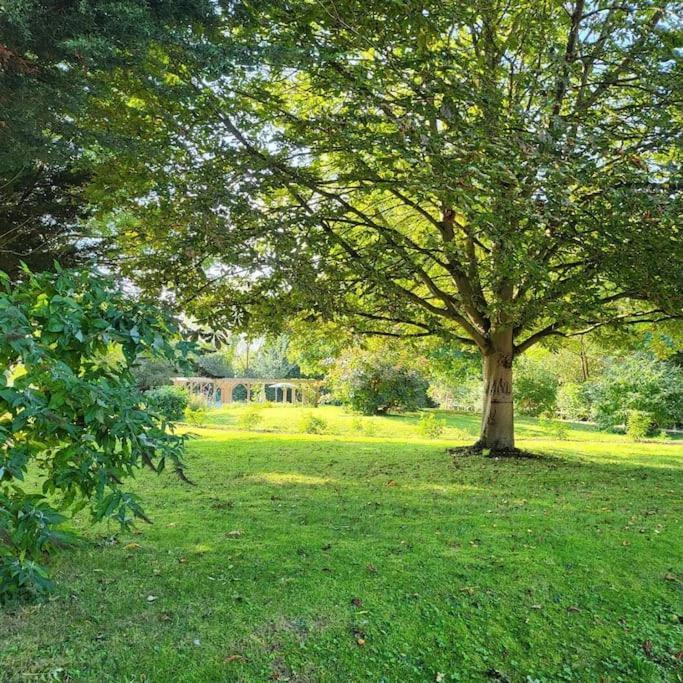 Host & Stay - Clara Cottage Bretforton Екстериор снимка