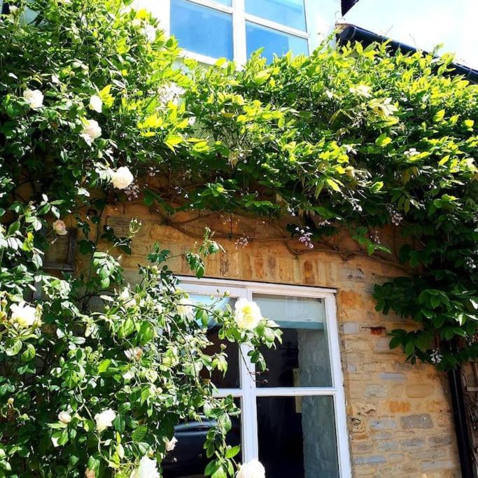 Host & Stay - Clara Cottage Bretforton Екстериор снимка